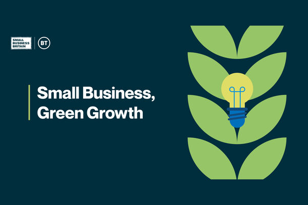Small Business, Green Growth (2024)