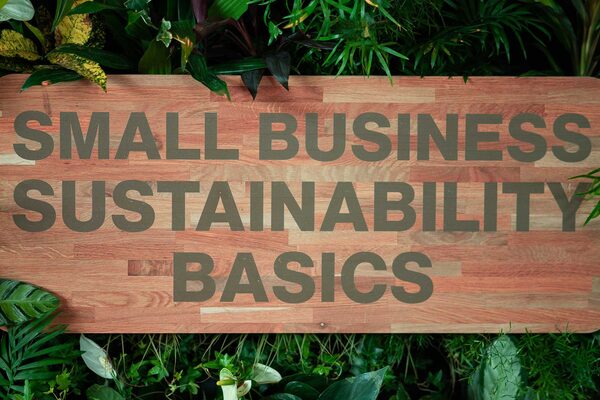Sustainability Basics Research (2022)