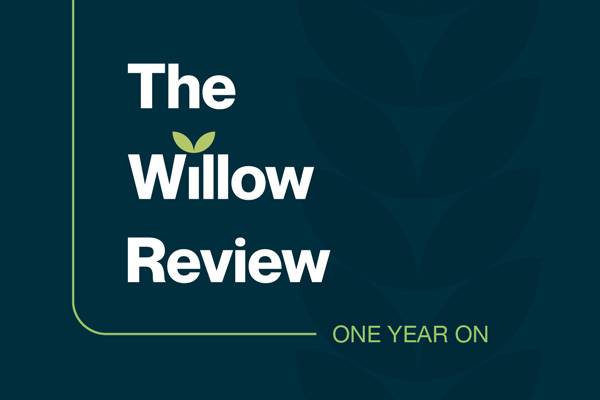 The Willow Review: One Year On